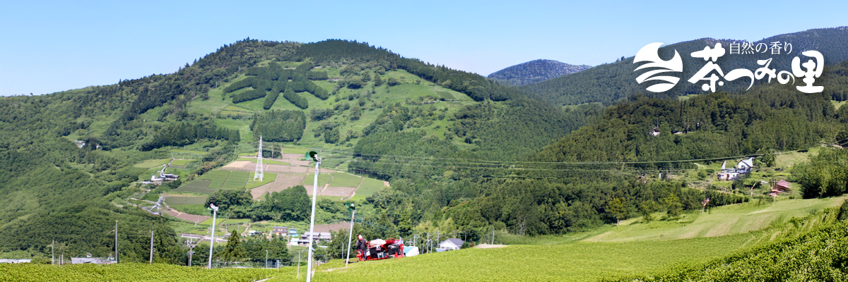 日本茶・健康茶専門店 茶つみの里